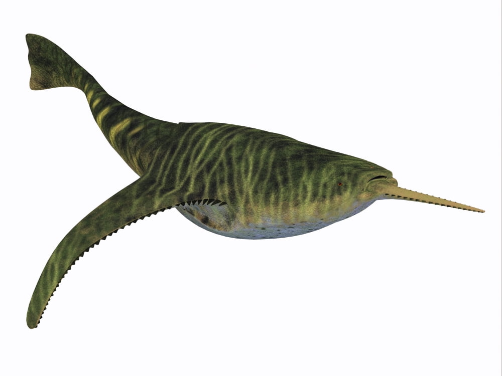Doryaspis is an extinct genus of primitive jawless fish Canvas Art - Corey FordStocktrek Images (17 x 13)