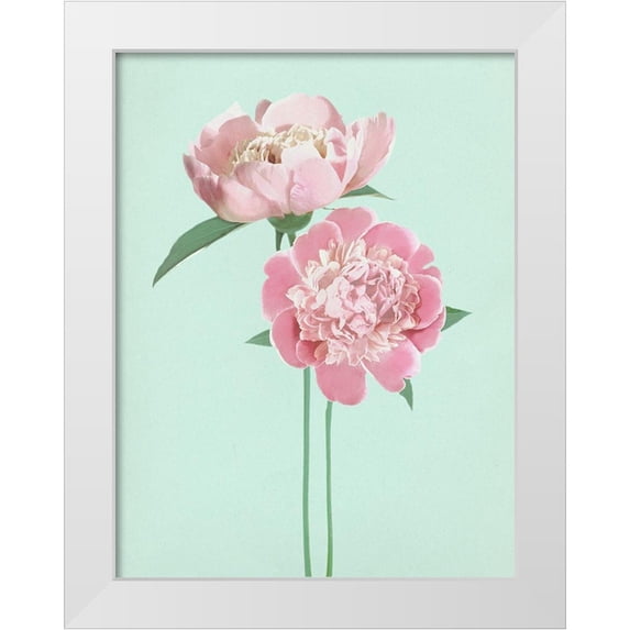 Dos Santos, Bella 25x32 White Modern Wood Framed Museum Art Print Titled - SummerPeonies