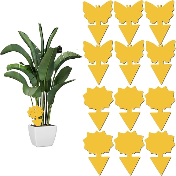 Dosaele 12 pack Sticky Fruit Fly and Fungus Gnat Trap Yellow Sticky Fly Traps Insect Killer for Houseplant indoor and outdoor plants