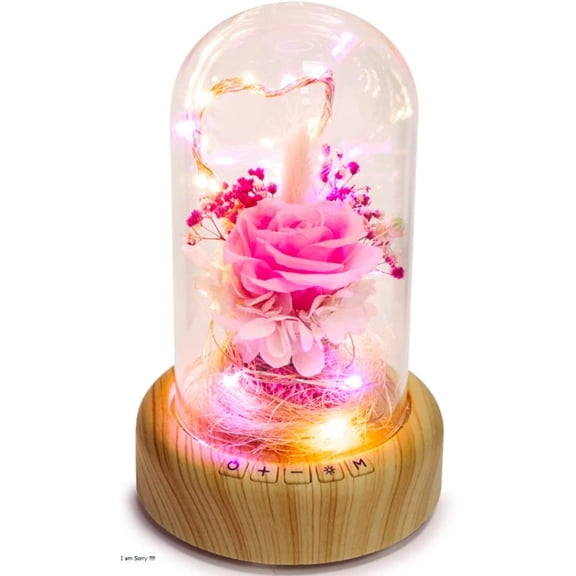 Dosaele Pink Rose Night Light - Preserved Rose in Glass Dome, Eternal Rose Flower Lamp with Bluetooth Speaker, Forever Real Rose Musical Box Gift for Her on Mother's Day, Birthday, Valentine Day