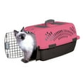 Dosckocil Pet Taxi, 1'7"L x 1'.6"W x 10"H, Pink