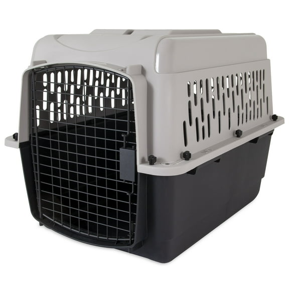 Small Pet Taxi Carrier