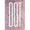 thumbnail image 1 of Pre-Owned Dot (Paperback) by Ron Padgett, 1 of 1
