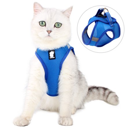 Dotoner Cat Harness and Leash - Ultra Light Escape Proof Kitten Collar Cat Walking Jacket with Running Cushioning Soft and Comfortable Suitable for Puppies Rabbits(M,Royal Blue)