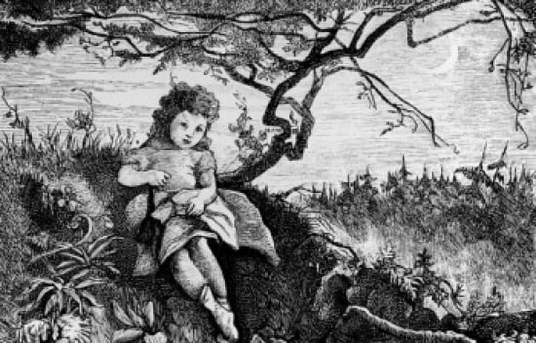 Dotty Dimple Lost in the Woods by Sophie May (RS Clarke) from Dotty Dimples Flyaway Boston 1875 Canvas Art - Sophie May (RS Clarke) (24 x 36)