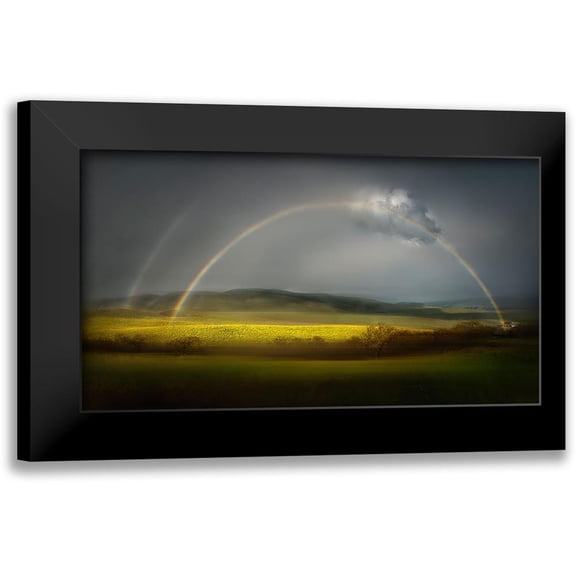 Dou, Shenshen 14x10 Black Modern Framed Museum Art Print Titled - The Spring Bliss