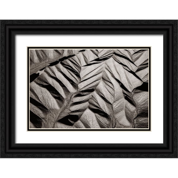 Dou, Shenshen 32x23 Black Ornate Wood Framed with Double Matting Museum Art Print Titled - Bared land