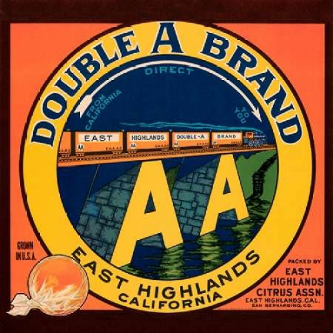 Double A Brand Oranges Canvas Art - Western Litho (24 x 24)