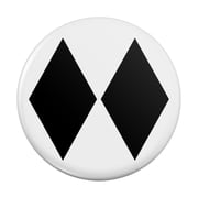 Double Black Diamond Skiing Experts Only Kitchen Refrigerator Locker Button Magnet