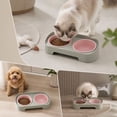 thumbnail image 1 of Double Bowl Pet Feeder 350ml Each Stays in Place for Cats and Small Dogs, Tilted Height Neck Care Removable Bowls, Stable Easy Clean Daily Feeding Station Indoor Gift, 1 of 7