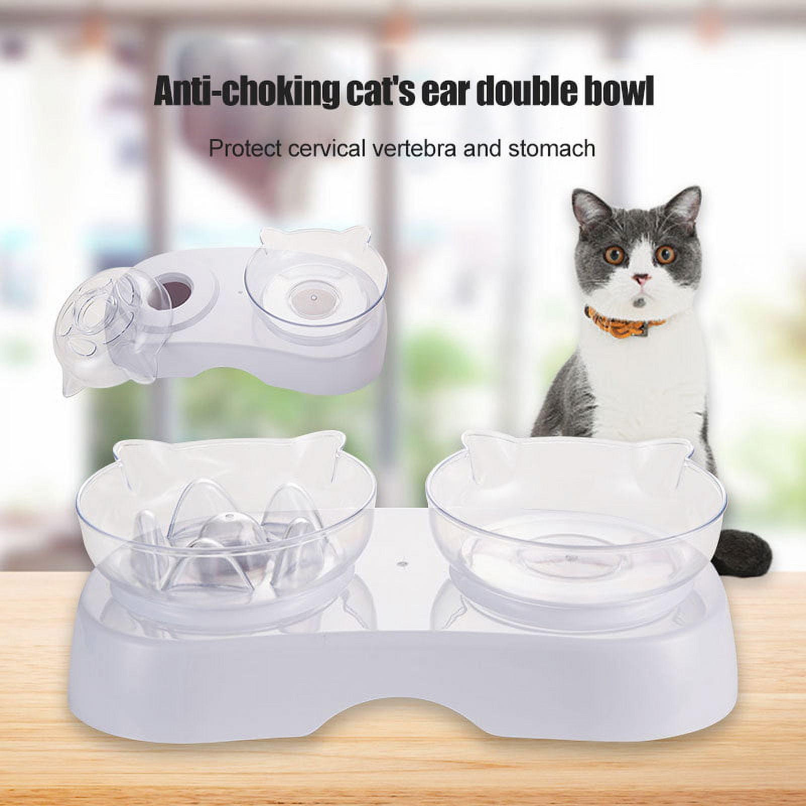 Yangbaga Elevated Ceramic Cat Bowl Review - What You'll Get