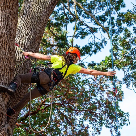 Double Braided Arborist Rigging Rope, 1/2" x 100 ft Strength Bull Rope, 48-Strand Polyester Static Rope for Tree Work, Pulling, Towing, Swing(Blue)