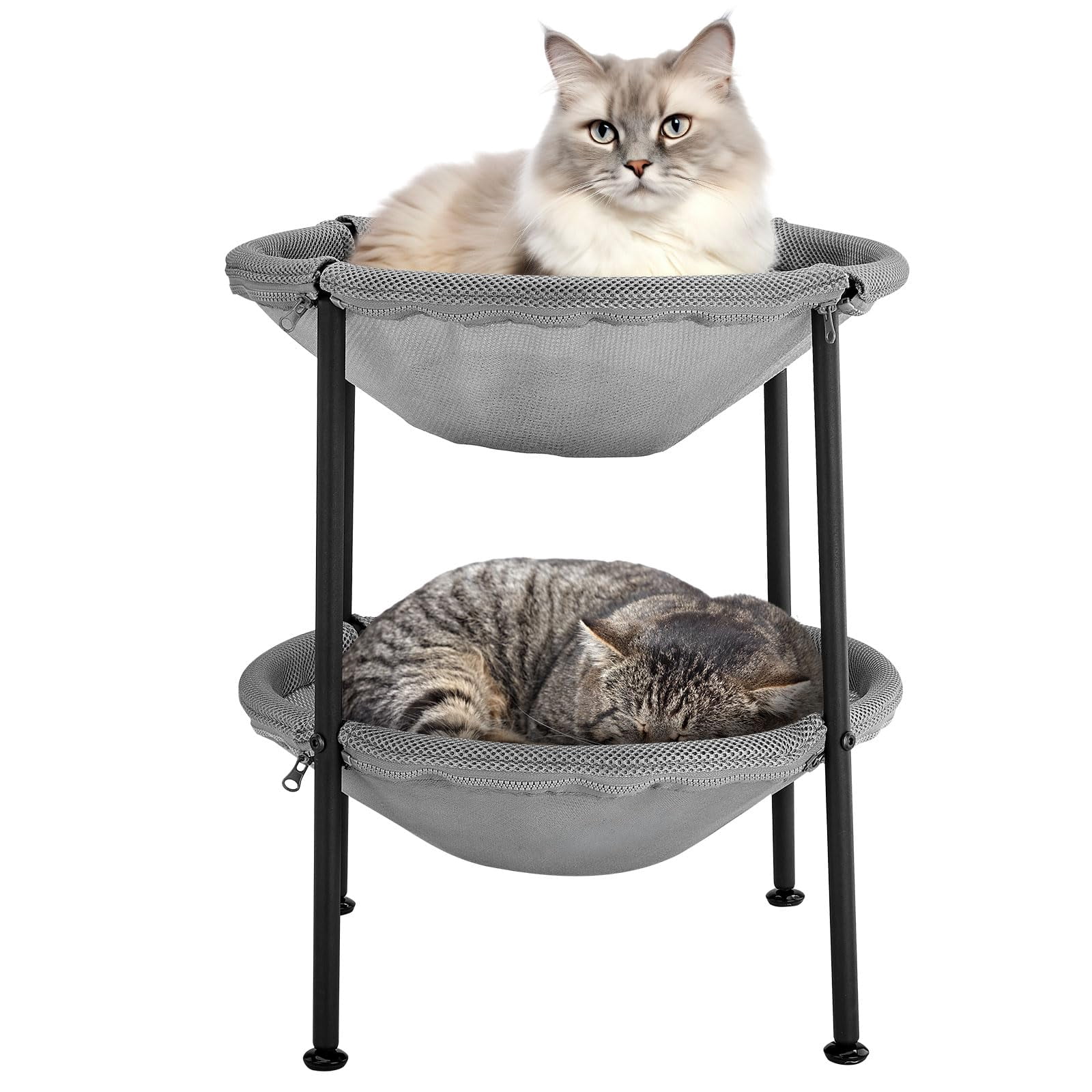 Double Cat Hammock Bed，Elevated and Raised Cat Beds for Indoor and — free download