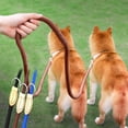 thumbnail image 1 of Double Dog Leash Tandem Leash for Two Dogs Splitter with 360 Rotation No Twist for Small Medium Dogs Walking by PALIFEUR, 1 of 9
