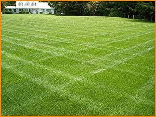 Double Eagle Centipede "Coated"Grass Seed - 1/4 Lb.