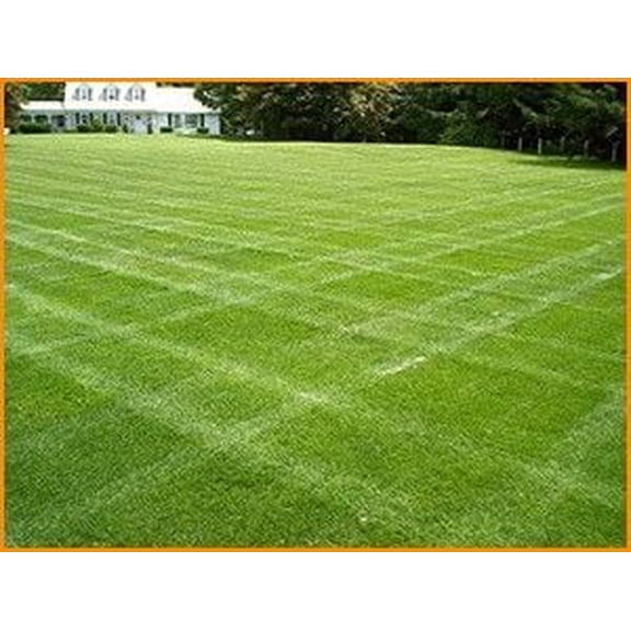 Double Eagle Centipede "Coated"Grass Seed - 10 Lbs.