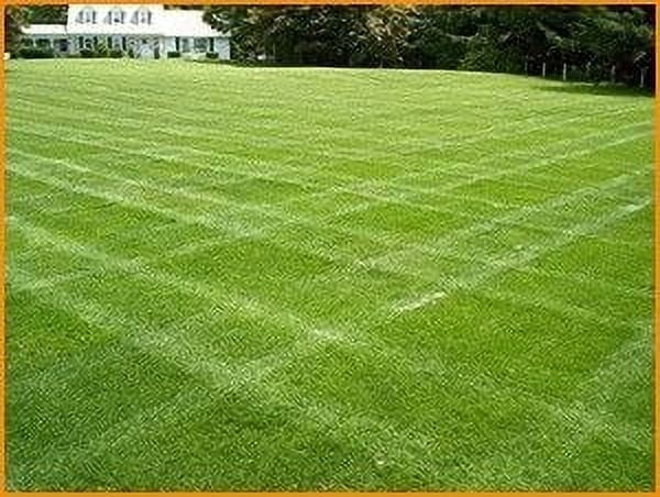 Centipede "Coated"Grass Seed - 25 Lbs.