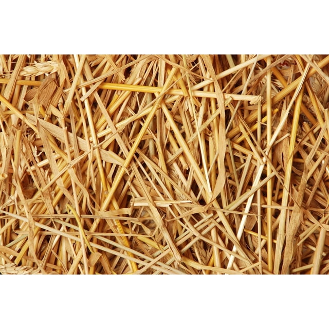 Double F Farms Premium Organic Wheat Straw for Animal Bedding, Garden ...