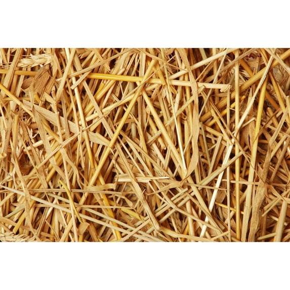 Double F Farms Premium 100% Natural Straw for Animal Bedding, Garden Mulch, Compost & Fertilizer, and Grass Cover (8LB)