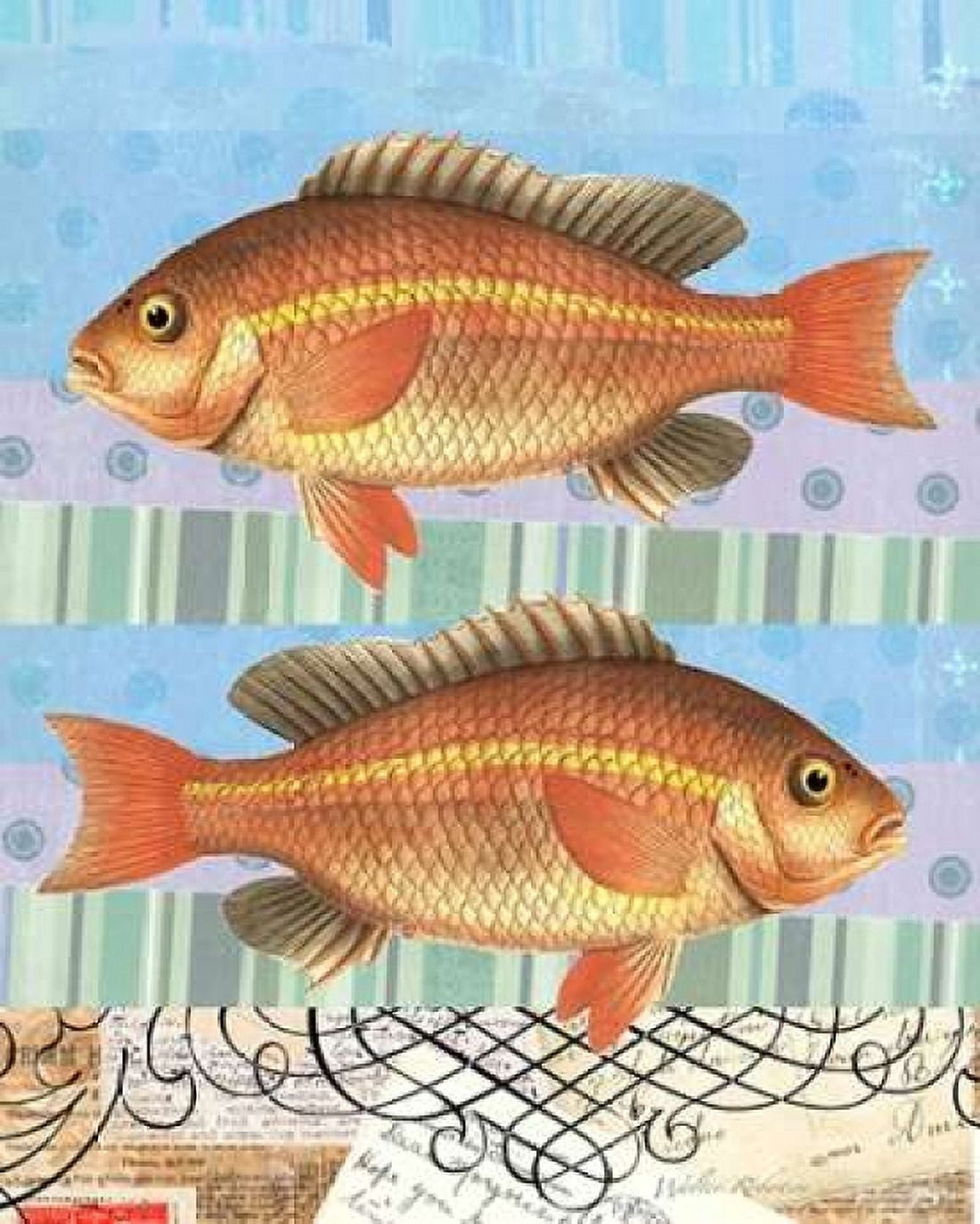 Double Fish Flourish Canvas Art - Walter Robertson (24 x 30)