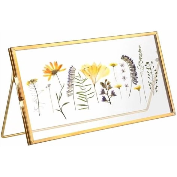 Double-Glass Dried Flower Frame, Brass Floating Frames for Pictures, Pressed Flowers, Leaves, Arts, Stamps, 4x 9 inches Decorative Tabletop Display Holder for Home Plant Specimen (FRAME ONLY)