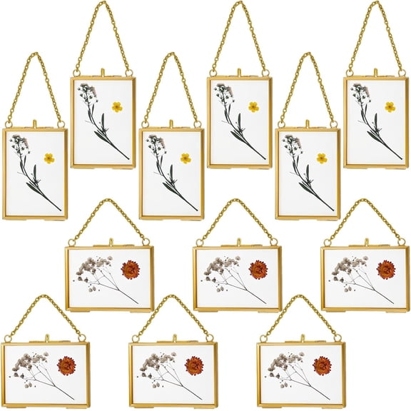 Double Glass Floating Frame for Pressed Flowers or Photos 3.5 x 2.5 Inches Brass Tone with Hanging Chain Gold Finish
