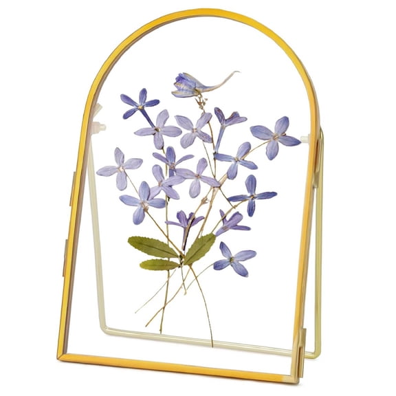 Double Glass Frame for Pressed Flowers Handmade, Metal Floating Picture Frame for Pressed Flower, Tabletop Display, Brass, ArcShaped, Gold, 4x6 inches (FRAME ONLY)