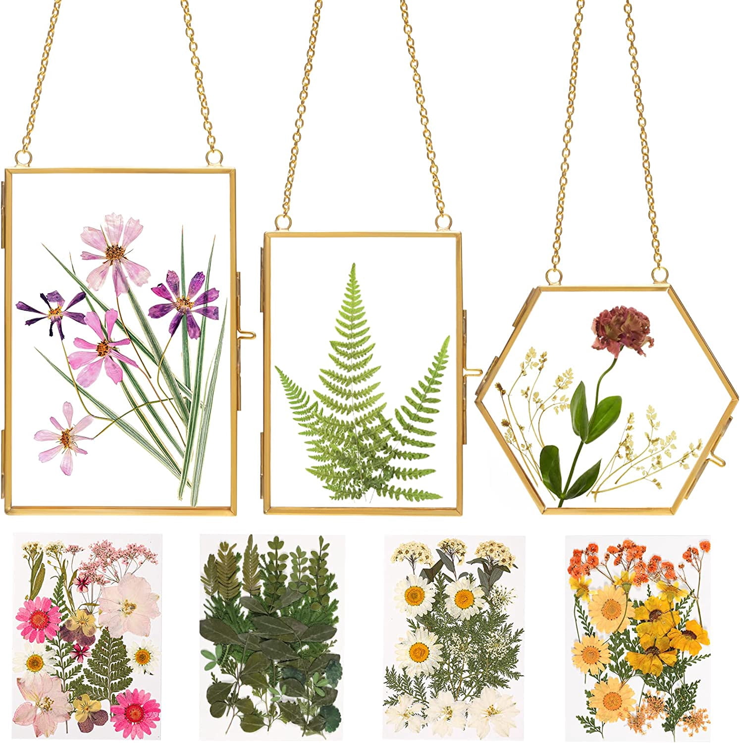 Double Glass Frame for Pressed Flowers - w/Real Dried Flowers and ...