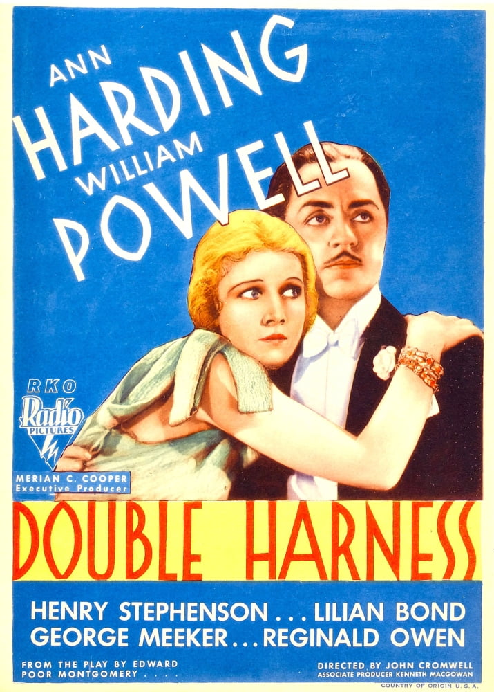 Double Harness Canvas Art - (24 x 36)