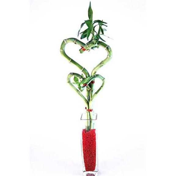 Double Heart Bamboo - Glass Block Bud Vase