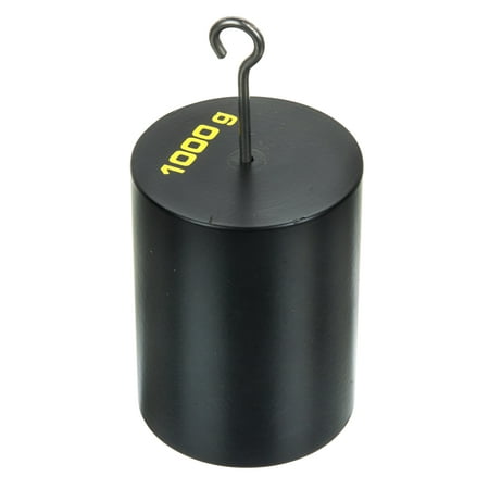 Double Hooked Iron Weight 1000 grams (2.2 Lbs.) - Eisco Labs