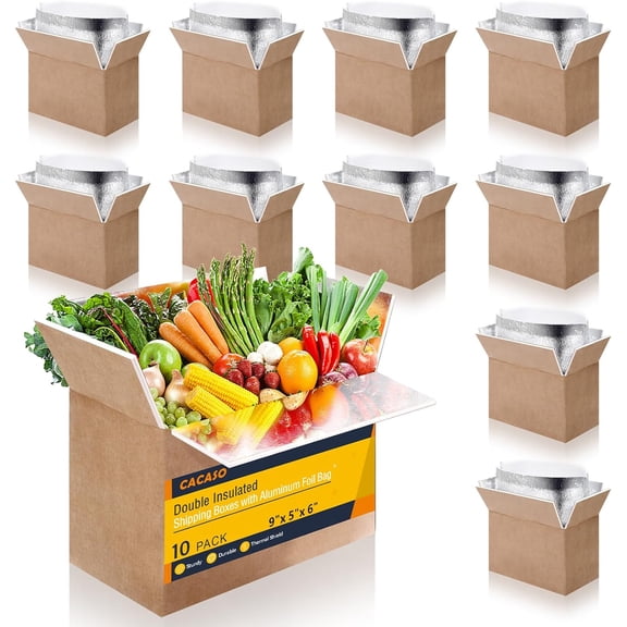Double Insulated Shipping Boxes,10 Pack Cold Shipping Boxes with Aluminum Foil Insulated Bag,Small Mailing Box Styrofoam Box for Shipping Frozen Food,Mailing,Packing,Moving,9" x 6" x 5"