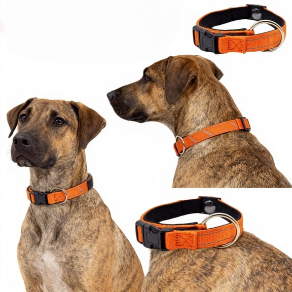 Double Layer Fabric Dog Collar with Reflective Design for Senior Comfortable and Breathable Shaped Neck Support