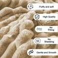 thumbnail image 1 of Double Layer Raschel Blanket, Soft and Thick Winter Warmth Blanket, Cozy Throw Blanket for Beds, Sofas, and Living Rooms ( Khaki ), 1 of 6