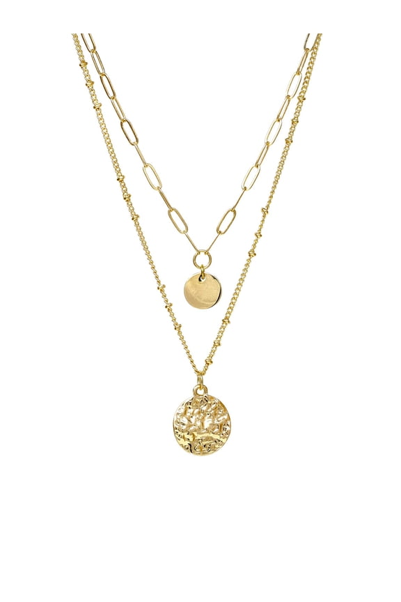 Double Layered Charm Necklace