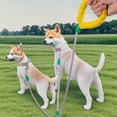 thumbnail image 1 of Double Lead Pet Leash Tangling Double Ended Control for Small and Medium Dogs Training and Walking Essential Supply, 1 of 3