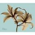 thumbnail image 1 of Double Lilies Brown on Blue Poster Print by Albert Koetsier (20 x 24), 1 of 1
