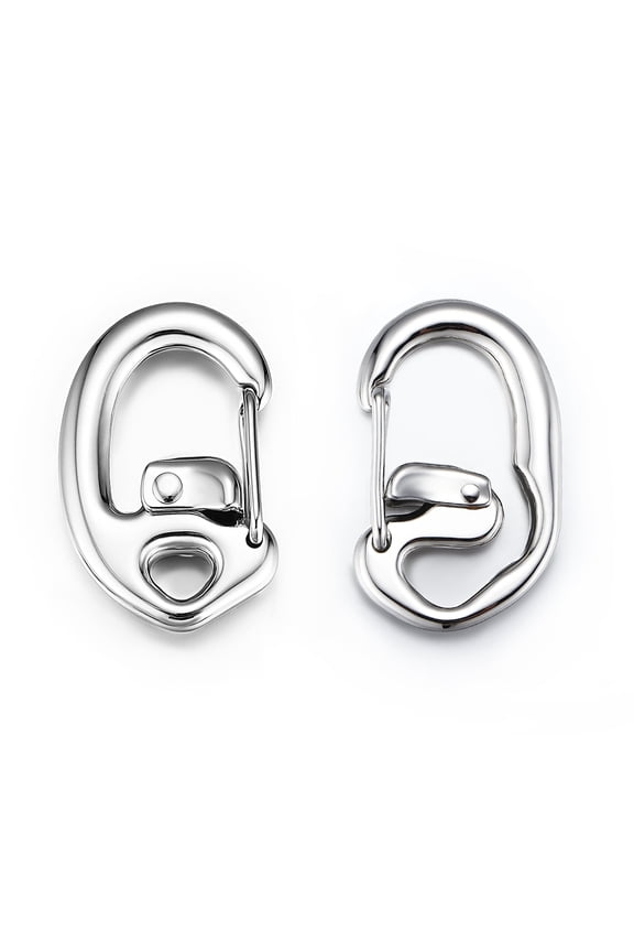 Double Locking Carabiner Clips with Anti-Misopening Design - 1.75'' Cold Forged Stainless Steel Carabiner Keychains for Outdoor Camping, Key Ring Clips-1 Closed Loop and 1 Open Loop Clip