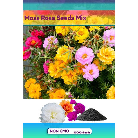 Double Moss Rose Seeds for Planting, 2000+ Portulaca Grandiflora Mixed Color Sun Rose Flower Seeds for Vibrant Flower Beds, Gardens, Yards