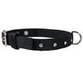 thumbnail image 1 of Double Nylon Dog Collar Rhinestones 3/4" Wide Fits 13.5"-16.5" Neck Spaniel, Bichon Frise, 1 of 3