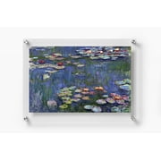 Double Panel Floating 8x10 Acrylic Picture Frame Wall Mount Photo Frame