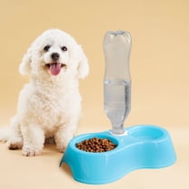 Double Pet Bowl Food Water Dish Separate Compartments Non-Slip Base Size 10.63x2.36x2.36 Inches (Blue)