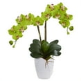 thumbnail image 1 of Double Phalaenopsis Orchid Artificial Arrangement in White Vase, Green, 1 of 1