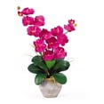 thumbnail image 1 of Double Phalaenopsis Silk Orchid Flower Arrangement, Beauty, 1 of 2