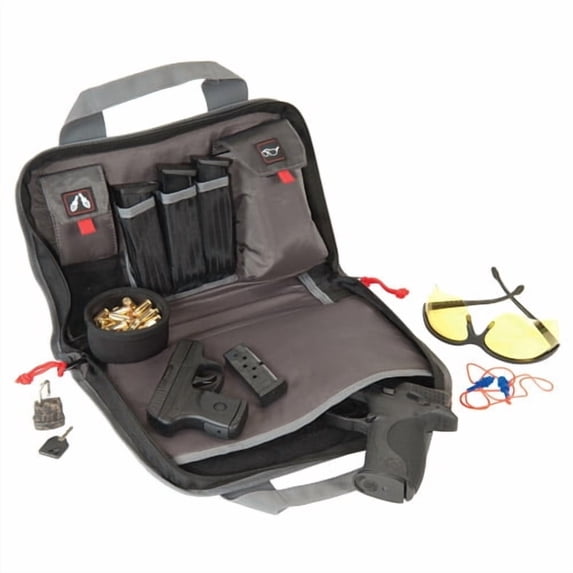 Double Pistol Case
