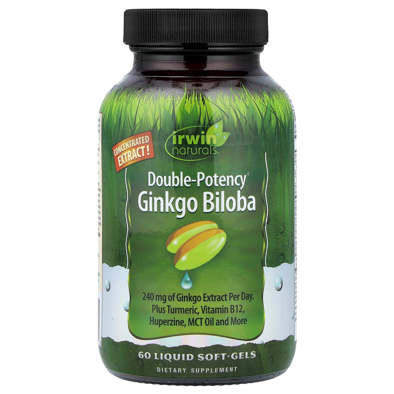 ginkgo biloba and acetyl l carnitine Double-Potency Growth Factors Size:500 µg - Cat. No. A30220500 glutathione reductase enzyme Glutathione-Related
