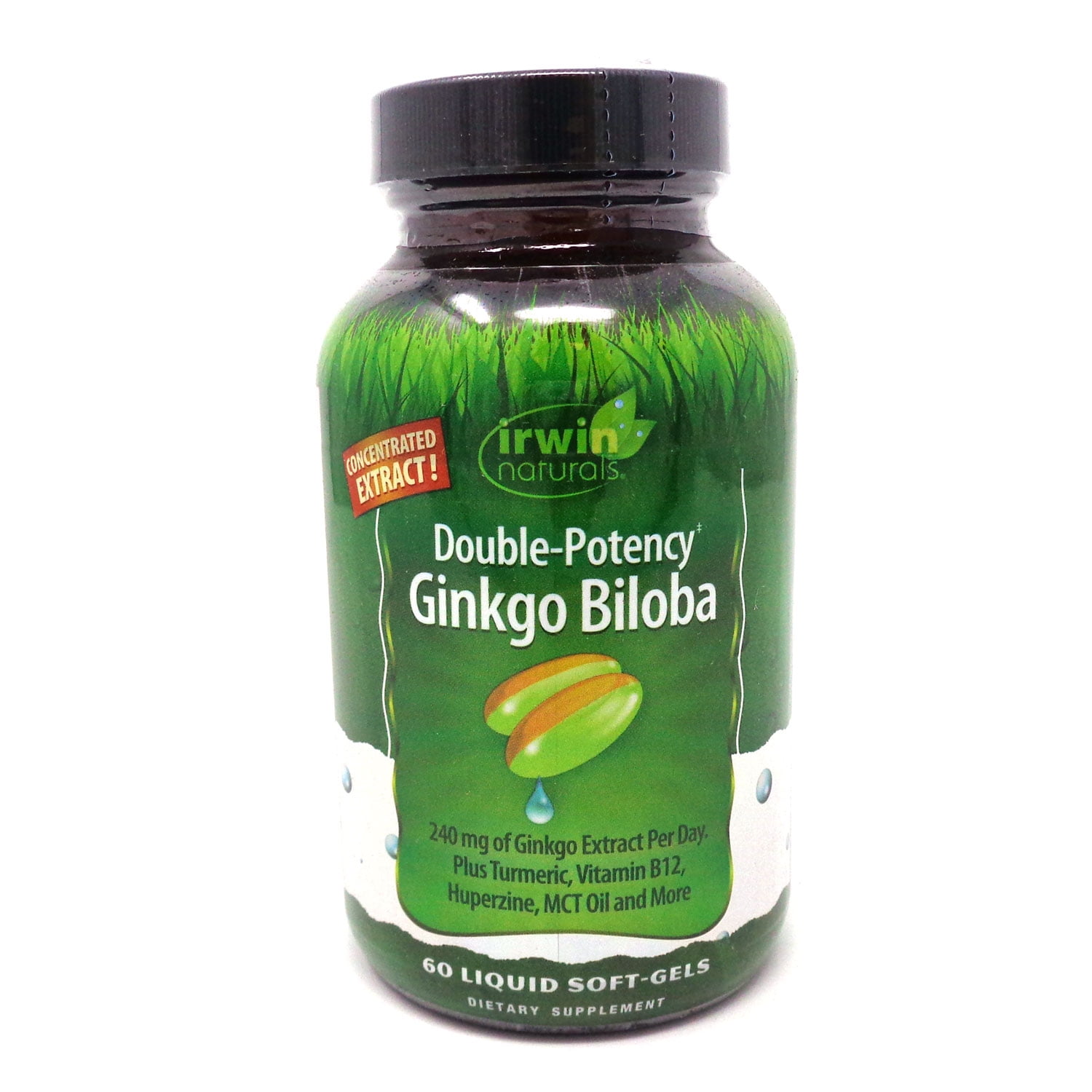 DoublePotency Ginkgo Biloba