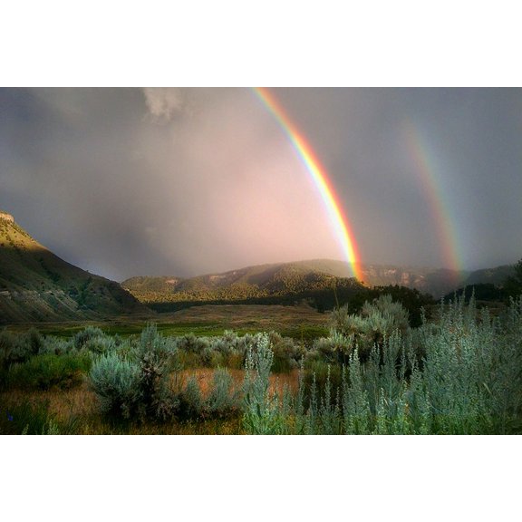 Double Rainbow from Lower Mammoth, Yellowstone National Park Poster Print - The Yellowstone Collection (36 x 24)