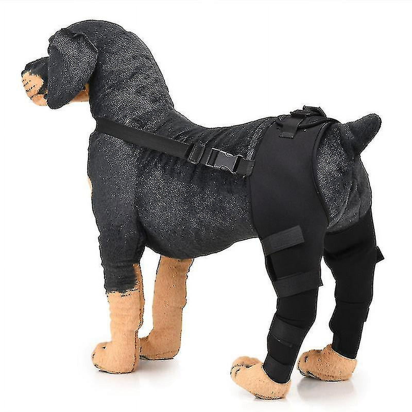 Double Rear Leg Protection Dog Knee Brace For Acl Knee Cap Dislocation