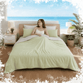 thumbnail image 1 of SUNNY HEAT Cooling Summer Comforter Twin Size 60"x80", Cooling Blanket for Hot Sleepers, Lightweight Breathable Double-Sided Quilt, Gray & Icegreen, 1 of 9
